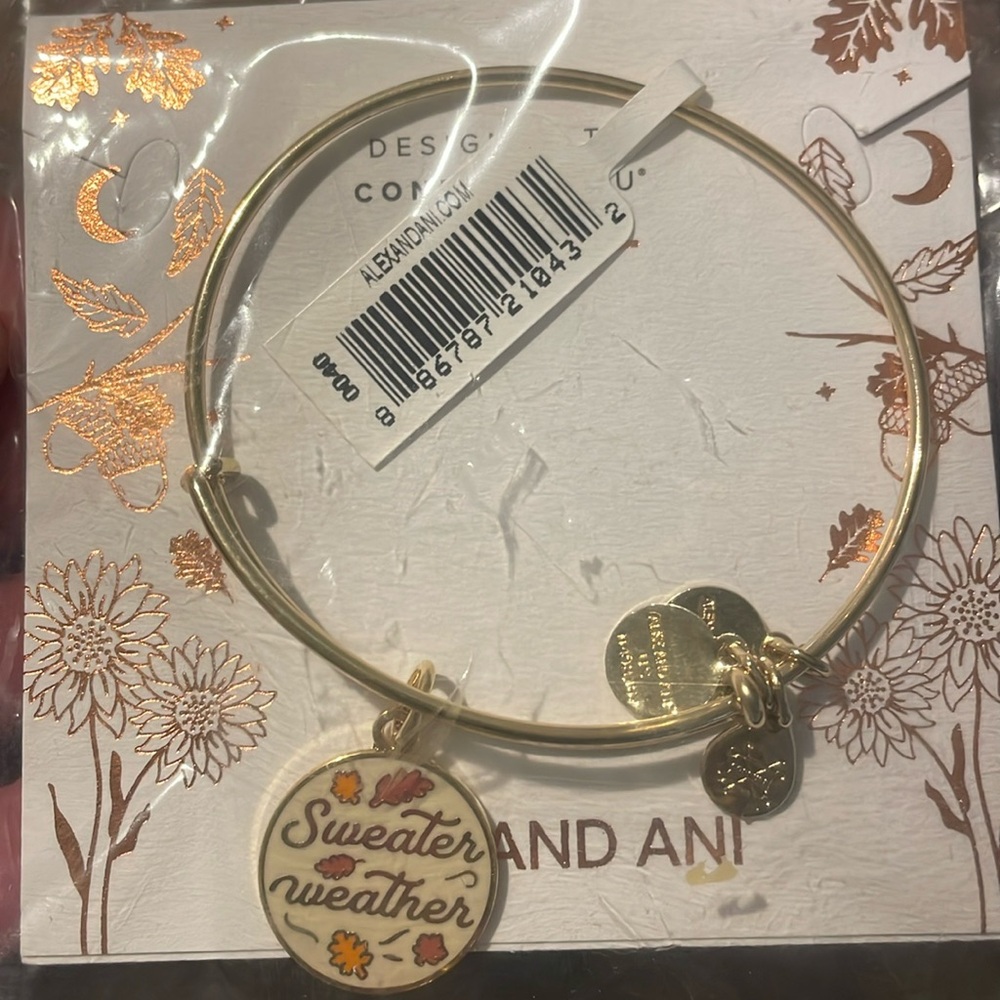 Alex + Ani Charm Sweater Weather Bracelet Bangle